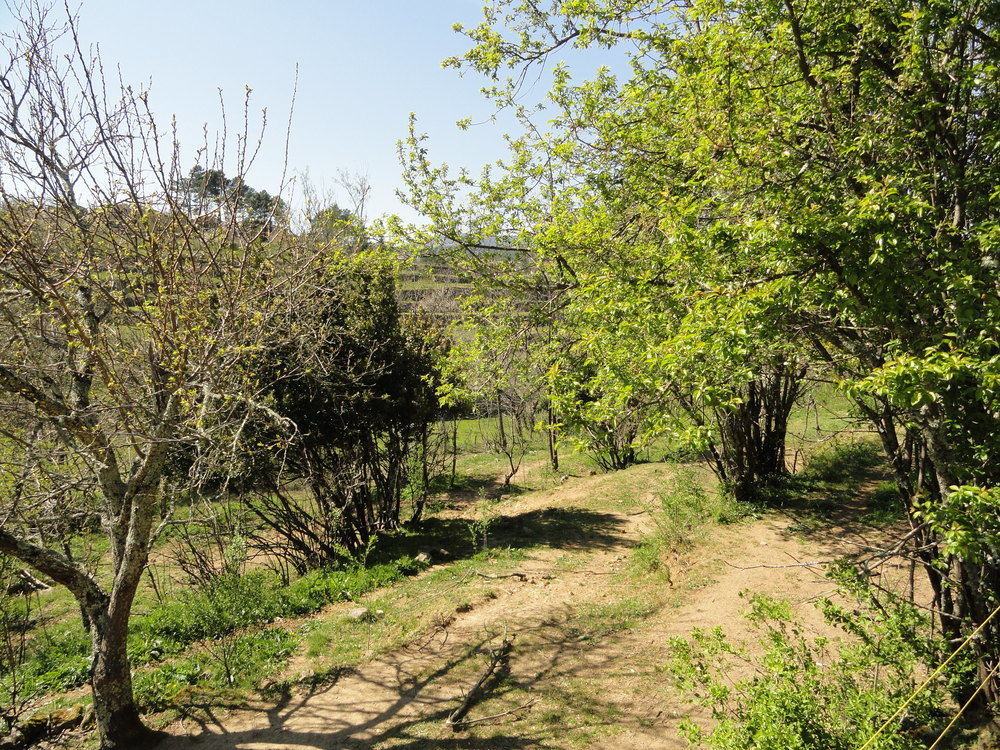ז'ואיוז Chambre D'Hotes Au Creux Du Chambon מראה חיצוני תמונה