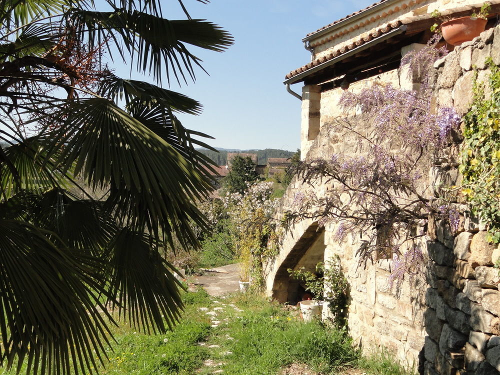 ז'ואיוז Chambre D'Hotes Au Creux Du Chambon מראה חיצוני תמונה
