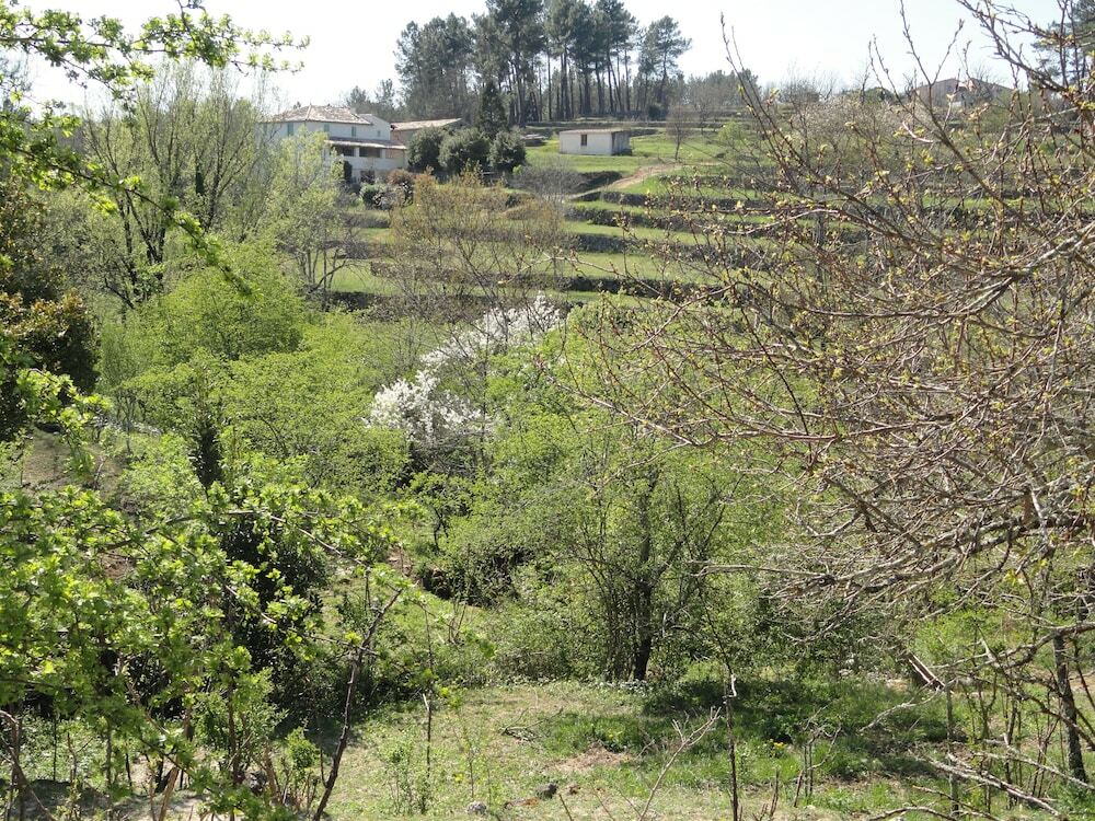 ז'ואיוז Chambre D'Hotes Au Creux Du Chambon מראה חיצוני תמונה